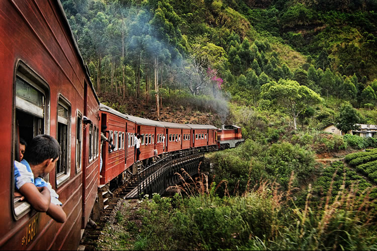 Train Railway Tours